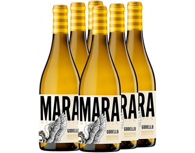 MARTÍN CÓDAX MARA MARTÍN... 2