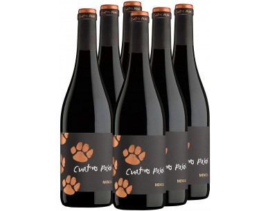 CUATRO PASOS MENCÍA 2022 75 CL 2