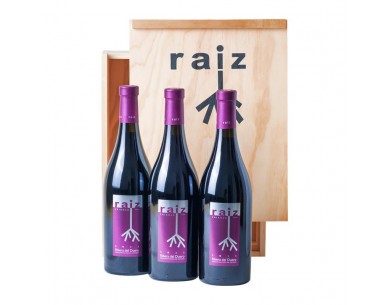RAÍZ DE GUZMÁN CRIANZA 2021... 2