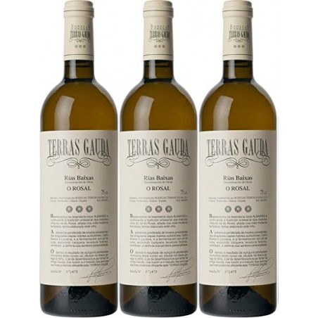 TERRAS GAUDAS ALBARIÑO 2025