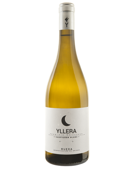 YLLERA BLANCO SAUVIGNON BLANC  2025