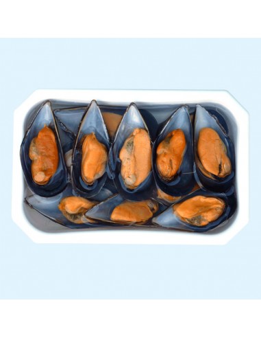 VIVERA MEJILLONES RÍAS GALLEGAS AL...