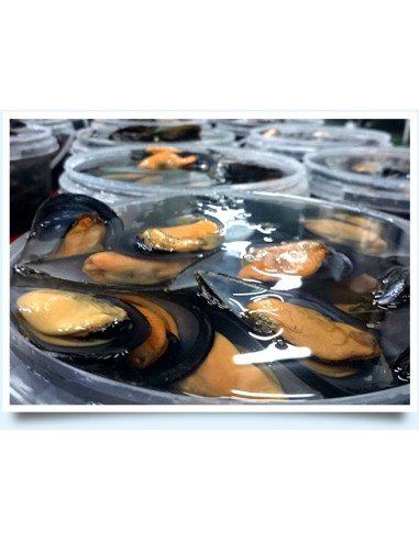 VIVERA MEJILLONES RÍAS GALLEGAS AL...