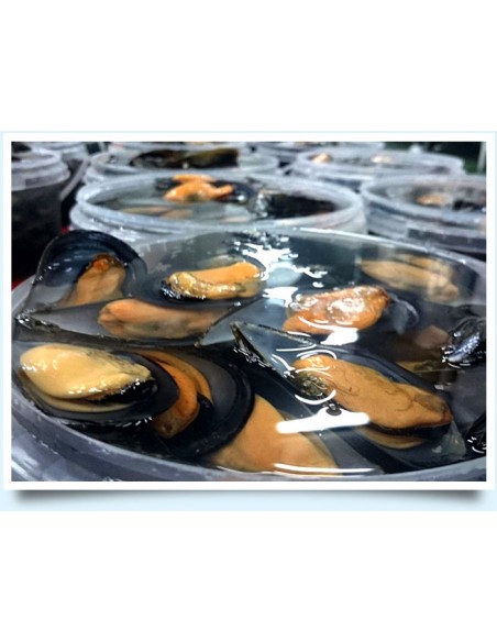 VIVERA MEJILLONES RÍAS GALLEGAS AL NATURAL MEDIA CONCHA AL VAPOR 16/18 PZ BANDEJA 500 GR