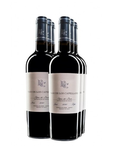PAGO DE LOS CAPELLANES ROBLE 2024  75 CL
