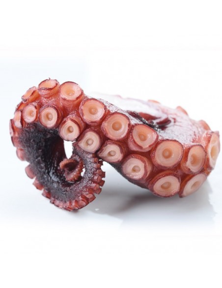 PATA DE PULPO COCIDA Piezas 300/400 gr