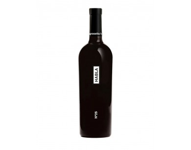 HABLA Nº 25  2019 75 CL
