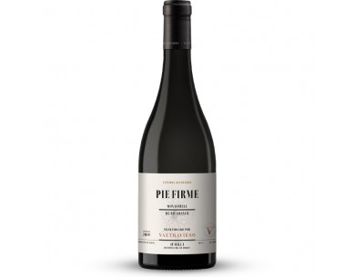 PIE FIRME 2019 D.O JUMILLA