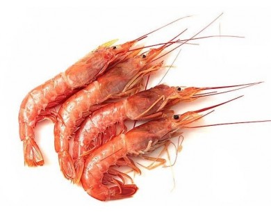 GAMBÓN AUSTRAL CRUDO DE... 2