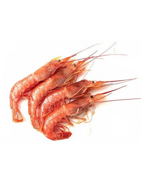 GAMBÓN AUSTRAL CRUDO DE ABORDO Nº1(10/20 pz/kg) La caja de 2 kg