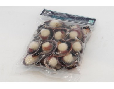 ZAMBURIÑAS 1/2 CONCHA 20/30...