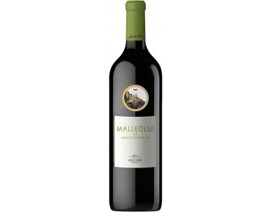 MALLEOLUS DE SANCHOMARTÍN 2019