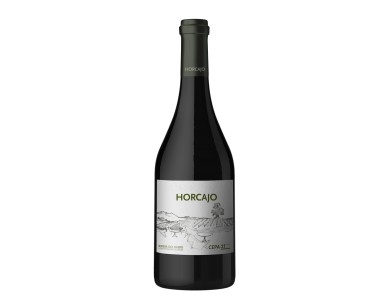 CEPA 21 HORCAJO 2014