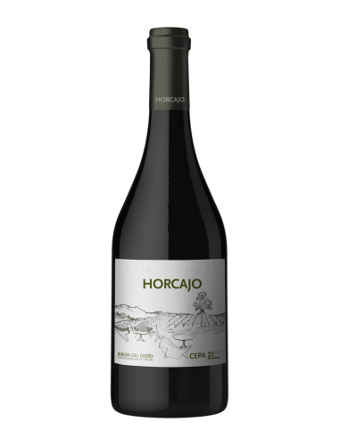 CEPA 21 HORCAJO 2014