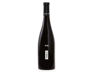 HABLA Nº 29 2020 75 CL