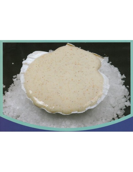 VIEIRA RELLENA (VIEIRA,CENTOLLO Y BUEY DE MAR) CON BECHAMEL 110 gr