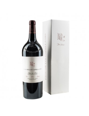 PAGO DE LOS CAPELLANES CRIANZA MAGNUM...