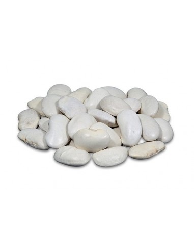 JUDIÓN DE LA GRANJA AL PESO