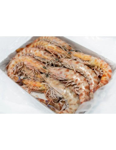 LANGOSTINOS TIGRES N1  20/30 Piezas 1Kg