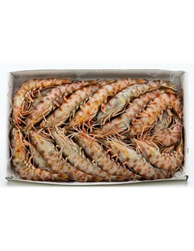 LANGOSTINOS TIGRES N2 30/40 Piezas 1 Kg
