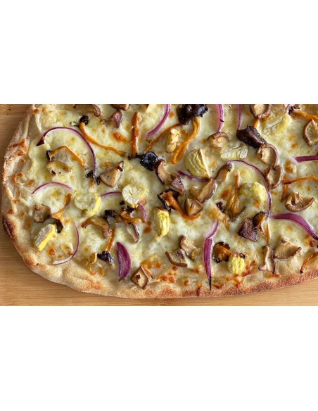 PINSA BASE 250 gr X 2 UND