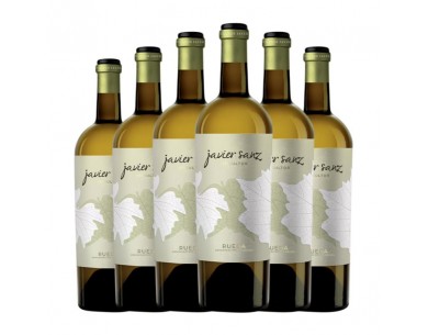 JAVIER SANZ VERDEJO 2023 2