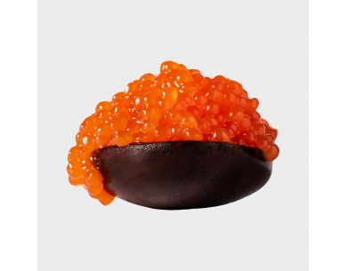 CAVIAR SHIKRÁN SALMÓN 100 gr 2