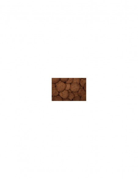 PERUSIÑAS GALLETAS GALLEGAS ARTESANAS DE MANTEQUILLA CON CANELA 170 gr