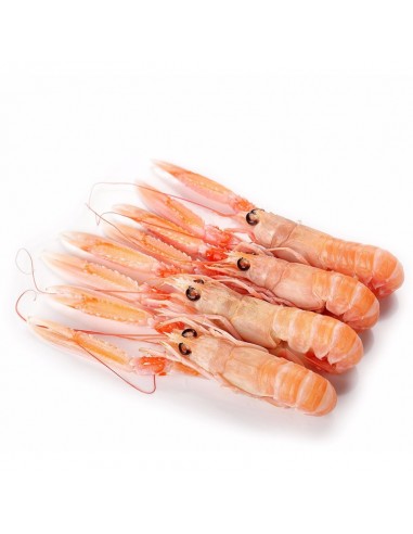CIGALAS Nº1 CAJA DE 11/15 Piezas 1 Kg