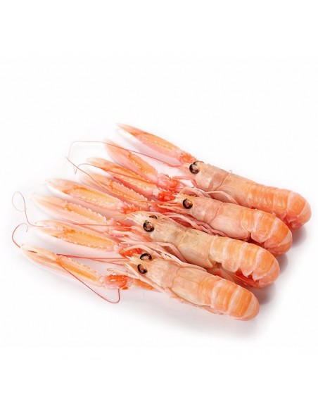 CIGALAS Nº1 CAJA DE 11/15 Piezas 1 Kg
