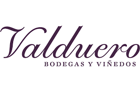 BODEGA VALDUERO